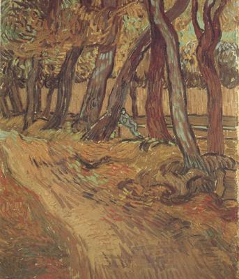 Vincent Van Gogh The Garden of Saint-Paul Hospital with Figure (nn04) Germany oil painting art